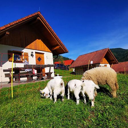 Ferienpark Gaal Ngoại thất bức ảnh