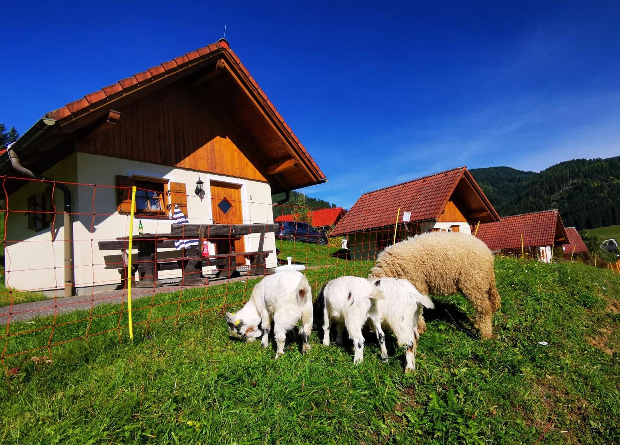 Ferienpark Gaal Ngoại thất bức ảnh
